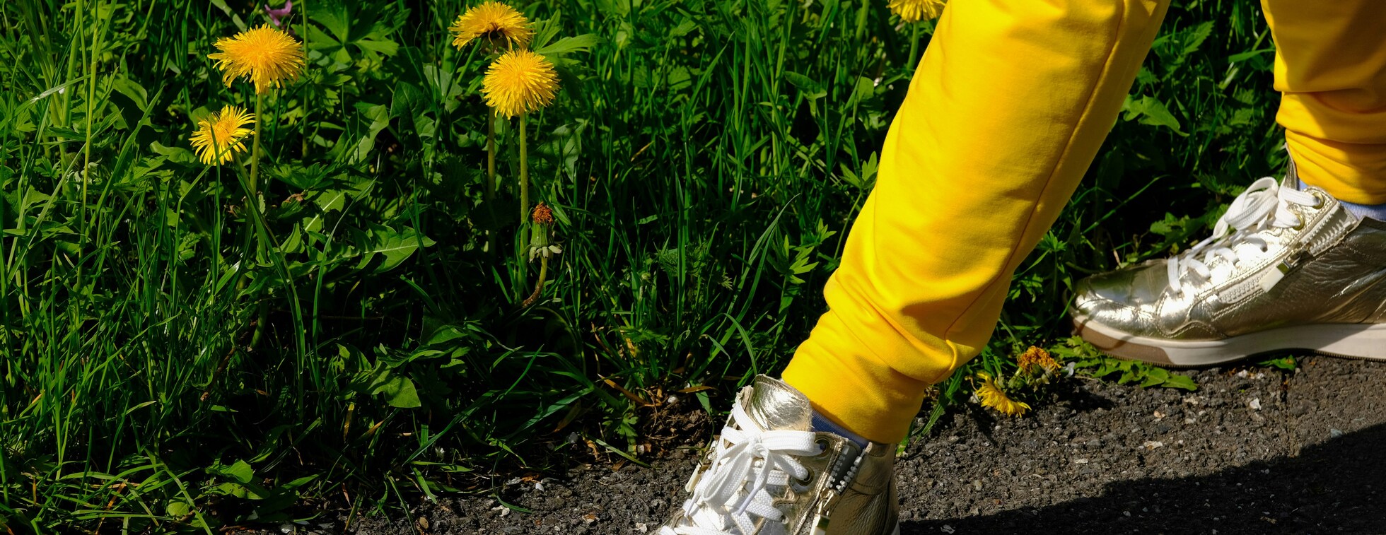 Summer Day of Reflection - Walking with Hope